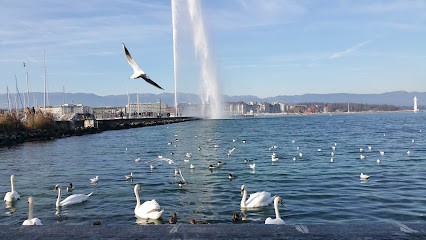 Tem-sa Nettoyage, Service de Nettoyage à Thonon-les-Bains
