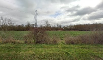 BM MULTISERVICES, Service de Nettoyage à Plaisance-du-Touch