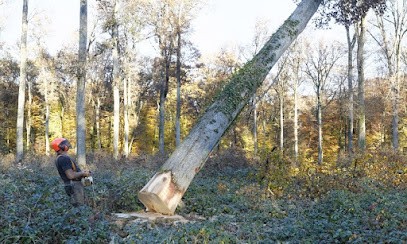 Bien Net Assistance, Service de Nettoyage à Luisant