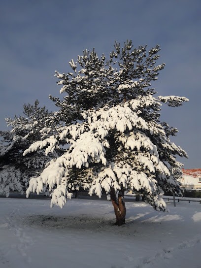 G.c. Nettoyage S.h.n.i., Service de Nettoyage à Rouville