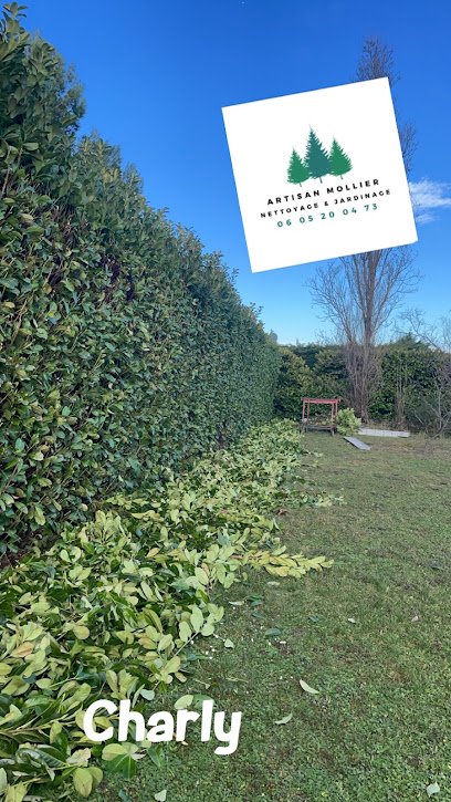 Artisan Mollier Nettoyage & Jardinage, Service De Nettoyage à Brignais
