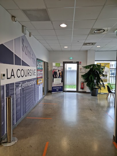 PRO PERFECT DIAMANT, Service de Nettoyage à Saint-Fons