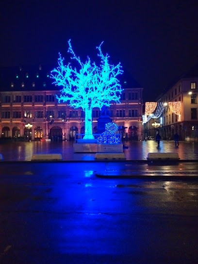 Emi & Creno, Service de Nettoyage à Lingolsheim