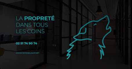 Tete De Loup Nettoyage, Service de Nettoyage à La Marne