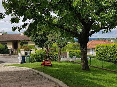 RMS42, Service de Nettoyage à Roche-la-Molière