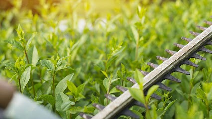 CATHYTOUTNET, Service de Nettoyage à Fontcouverte