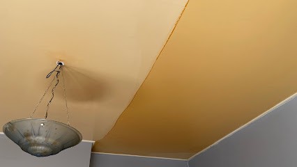 Nettoyage Plafond Tendu - CLEAN PRO SYSTEM, Service de Nettoyage à Saint-Priest
