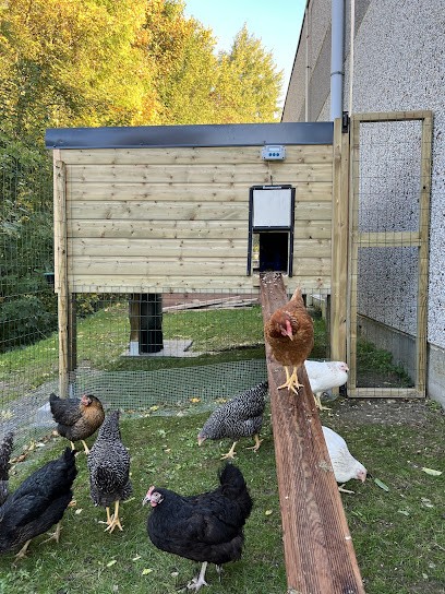 Edp Flandre, Service de Nettoyage à Bourbourg