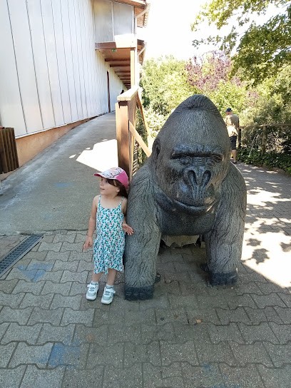 Abel Nettoyage, Service de Nettoyage à Saint-Chamond