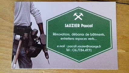 Pascal sauzier entretien, Service de Nettoyage à Tendu