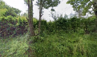 Toit Net 82, Service de Nettoyage à Montauban