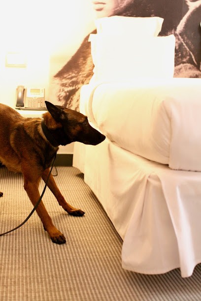 SYS FLAIR, Service de Nettoyage à Saint-Ouen