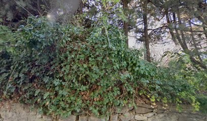 Dejp, Service de Nettoyage à Ceyreste