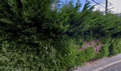 NTR, Service de Nettoyage à Lapugnoy