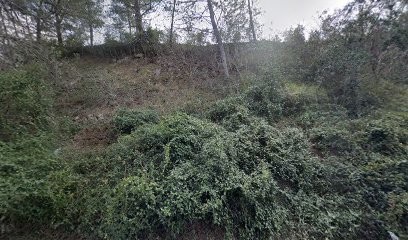 SPH - Services Propreté Hygiène, Service de Nettoyage à Roquefort-la-Bédoule