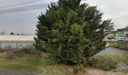 Agath'Net, Service de Nettoyage à Agde