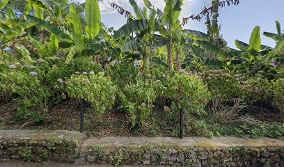 CP2 Home Service, Service de Nettoyage à Cambo-les-Bains