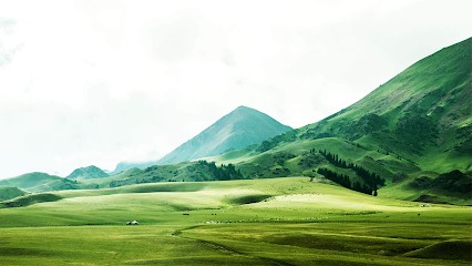 A' ECONET, Service de Nettoyage à Pommeuse