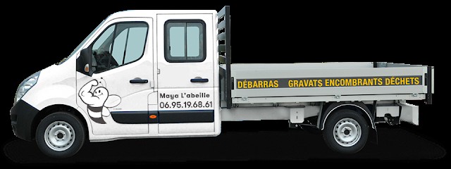 Maya L'abeille | Débarras, Service de Nettoyage à Massy