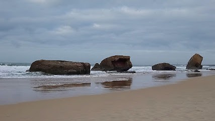 Conciergerie du gouf, Service de Nettoyage à Capbreton
