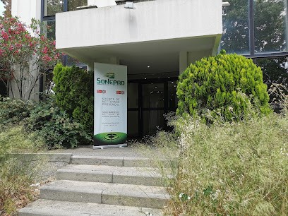 SO.NE.PRO Société Nettoyage Provençal, Service de Nettoyage à Marseille 12