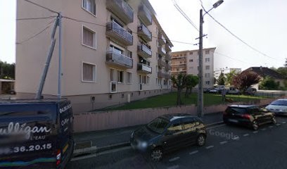 Danes Franck, Service de Nettoyage à Annemasse